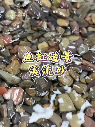 原生溪流石鱼缸造景底沙天然溪流沙河沙化妆沙原生缸造景溪流底砂#养鱼日记 #养鱼 #鱼缸造景 #底砂