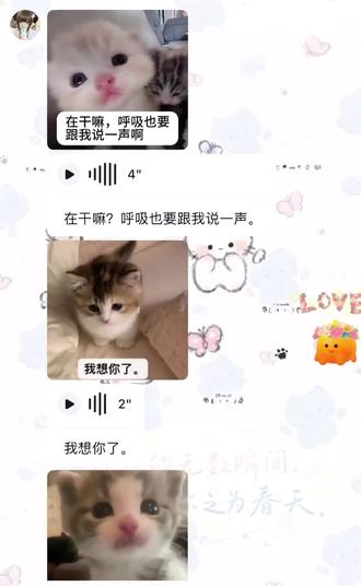 她说她是小猫咪#表情包 #猫猫
