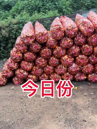 今日份工作待完成