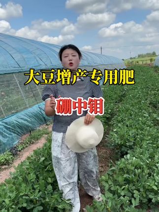大豆增产增收专用配方肥料,硼中钼,一瓶30亩地,买五送一@抖音小助手 #硼中钼 #大豆增产