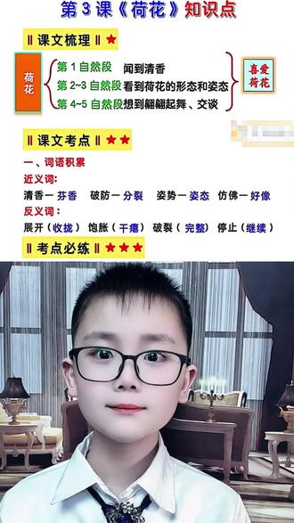 三下语文第三课《荷花》知识点 #三年级语文下册 第3课《荷花》#小学语文 #知识点总结