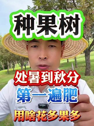 处暑到秋分,果树施肥的黄金期#果树施肥 #果树种植 #农业种植 #三农