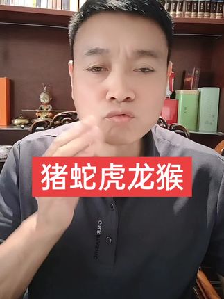 猪蛇虎龙猴的家人#生肖#传统文化