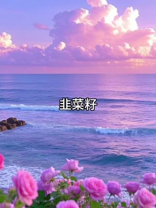 #韭菜籽#炒熟韭菜籽#纯天然无添加 #源头实力厂家 #超便宜超划算