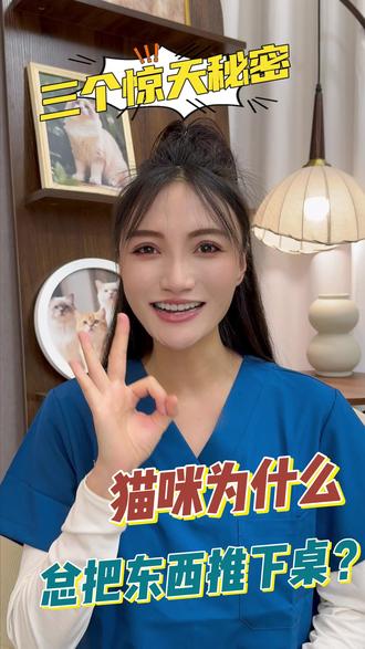 猫咪为什么总把东西推下桌子? #猫咪 #猫咪的迷惑行为 #宠物知识 #养猫经验分享