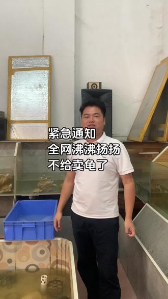 #养龟 #龟宠时代 #爬宠 #乌龟 以后只养龟了