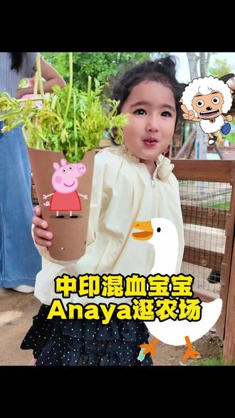 2岁中印混血女儿高能量生活的一天!逛农场抓小猪初体验 #混血宝宝 #萌娃农场初体验 #中印宝贝Anaya #宝宝户外 #混血萌娃