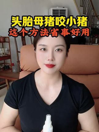 头胎母猪咬小猪,这个方法省事好用 #母猪咬小猪 #畜牧养殖 #养殖技术 #养猪