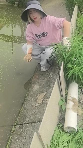 胆大心细,不怕苦不怕累才能养好甲鱼
#甲鱼#甲鱼养殖 #汉寿甲鱼表妹#三农#三农流量扶持计划