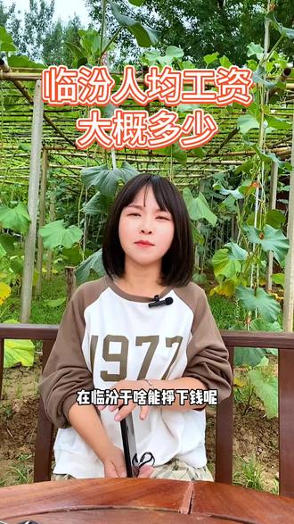 在临汾,看看你的收入有没有拖行业的后腿。#临汾 #真实还原 #城市生活 #打工生活不容易