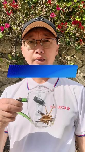 怎么鉴别红茶染色!小方法很实用!科技再高也怕冷水!#小妙招大作用 #红茶