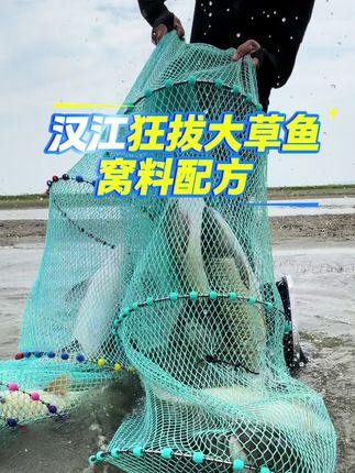 草鱼窝料如何搭配#渔具用品 #钓鱼 #钓鱼技巧 #钓鱼饵料 #渔具