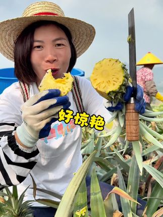 不一样的菠萝,保证能惊艳到你#优质农产品 #我的乡村生活 #应季水果 #菠萝 #强烈推荐