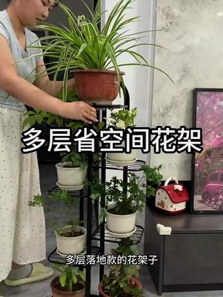 花架子客厅绿萝架子落地式盆栽置物架多层花架阳台花盆架多肉室内#花架子置物架 #花架子铁艺置物架 #花架子