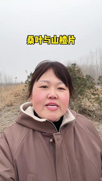 #上热门 桑叶与山楂片,这个小妙招你见过吗#科普 #涨知识 #正能量 #知识分享