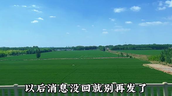 以后消息没回就别再发了,话题不想继续聊就别聊了,关系不想维持就别主动维系了。没关系的,你要是冷落我,我就不再纠缠你。大家都是手机时刻在身边的人,不回就是不想回,哪有那么多借口。不存在回不了的信息,只有不愿回信息的人。狗听到点动静都知道叫两下,所以有些人还不如狗呢。#国学智慧人生感悟 #创作者中心 #创作灵感