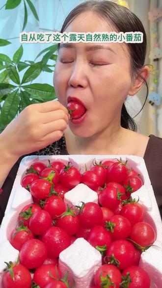 吃过自然熟的才懂!云南露天番茄不催熟不打药,5斤十几块钱包邮 #云南小番茄#自然熟小番茄#新鲜现摘水果#应季水果#平价水果包邮