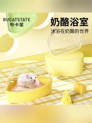 仓鼠浴室厕所真没必要买太贵的,10多块钱的奶酪浴室厕所就挺不错的!#仓鼠厕所 #仓鼠浴室 #仓鼠用品 #新手养鼠指南 #仓鼠
