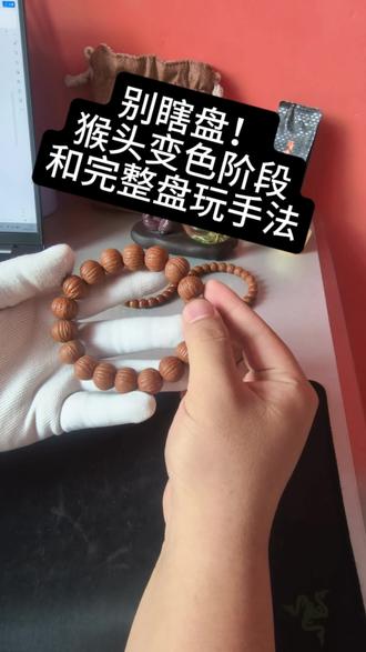 别瞎盘!! 猴头变色全过程+完整盘玩手法
1猴头新串期
周期:1~2周
外貌特征:米黄/浅咖
盘玩建议:净手/戴纯棉手套,每天1次,每次10-15分钟轻盘,盘后用猪鬃刷轻刷用于清洁,静置2小时以上
2猴头反油期周期:2~4周外貌特征:橘红
盘玩建议:净手盘玩,隔天1次,每次2小时,重点揉纹路,盘后用软布擦净,静置1-2天
3猴头尴尬期
周期:4~8周外貌特征:枣红
盘玩建议:每周2-3次,每次10分钟轻盘,不刻意用力,盘后静置,避免频繁触碰
4猴头玉化期
周期:6~12个月外貌特征:牛津红
盘玩建议:每周1-2次,每次5-10分钟,轻揉滋养,存放于干燥通风的地方,避免高温潮湿,不建议长盘,否则会褪色#猴头 #猴头手串 #老型猴头 #猴头怎么盘玩 #新手入门文玩