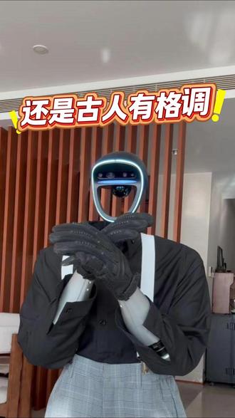 还是古人有格调#搞笑 #格调 #机器人