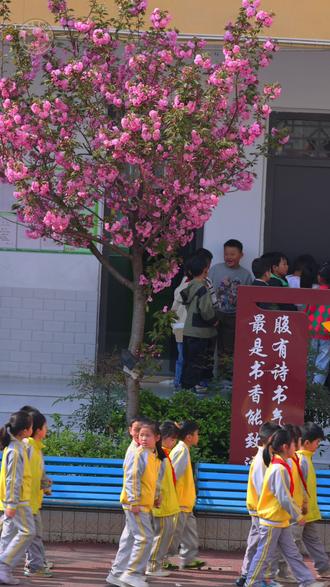 2026年春季学期 要开学了 新学期就要开始了,你期待吗?愿这一年里所有人有所收获。#贵州美好推荐官 #赫章 #时光照相馆 #校园故事 #新学期新起点新出发 @DOU+小助手 @DOU+上热门