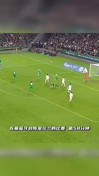 意味深长向爱尔兰主教练竖起大拇指