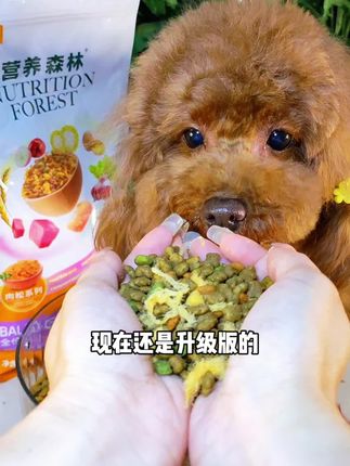 麦富迪营养森林系列全新升级啦,独立品牌旗舰店发货,新店有优惠哦#麦富迪 #营养森林狗粮 #狗粮推荐 #宠物食品