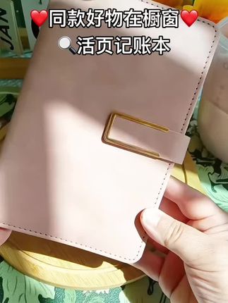 #活页现金日记账本 #钱包