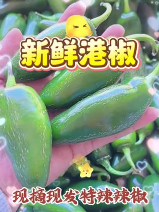 #新鲜港椒 #每日分享 # 做咸菜 嘿Siri也是一个不错的选择