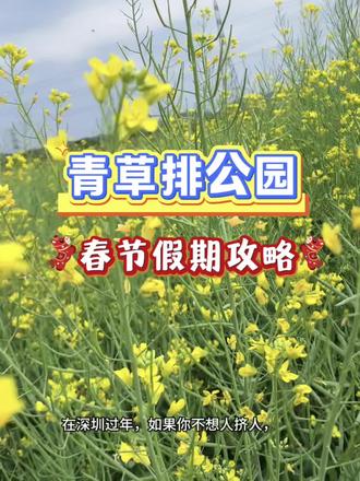 #吃喝玩乐分享计划 #深圳#青草排公园 #油菜花 #绿道骑行 在深圳过年不想人挤人就来这里