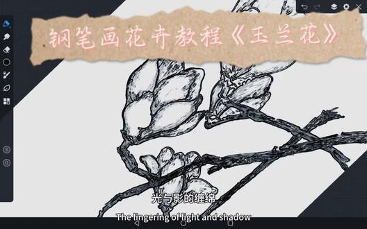 钢笔画花卉教程《玉兰花》——真挚
#每日一题 #日常瞎画 #绘画过程 #画世界pro