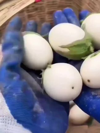 我要上热门#duo上热门视频 ##货物推荐