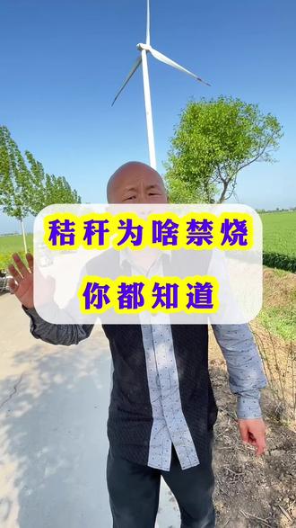 为啥禁烧秸秆#秸秆禁烧#禁烧秸秆的真正原因