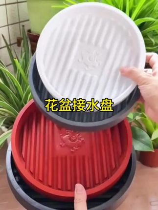 #花盆接水盘 #美观实用 #保护花草不烂根 #方便好用 #养花必备