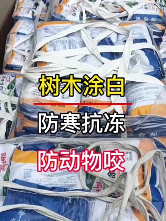 防冻裂、防啃咬、抗风雪!北方的小伙伴可以开始给树干涂白啦!#涂白剂 #树干涂白 #树木防冻 #冬季养护 #农林防护