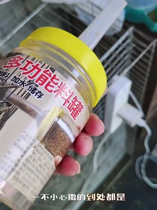 多功能加食加料罐#加料罐 #加食罐 #会说话的鸟 #鸟