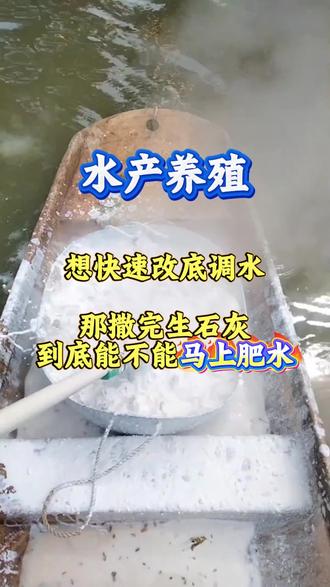 撒完生石灰到底能不能马上肥水 #水产养殖 #水产技术 #水产人 #四大家鱼养殖