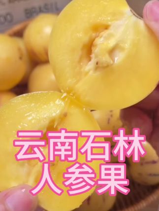 #生活服务热点中心#云南石林黄肉圆果人参果:当季新鲜采摘,圆滚滚果形饱满,金黄果肉爆汁清甜,地道高原味! #人参果你们喜欢吃么 #应季水果#产地现摘现发