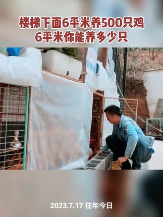 #养殖 #养鸡 #农村散养土鸡 #鸡鸭鹅养殖 #发酵床 懒人养殖发酵床制作菌种兽用