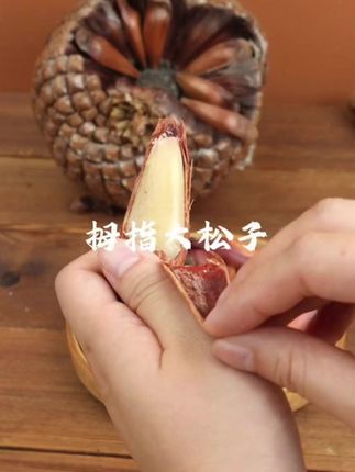 不要说吃过,你见都没有见过,带回去给全家人尝尝鲜!