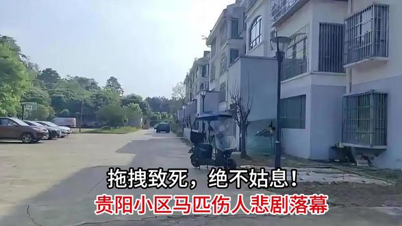 拖拽致死绝不姑息!贵阳小区马匹伤人悲剧落幕,追责绝不流于形式 #热点