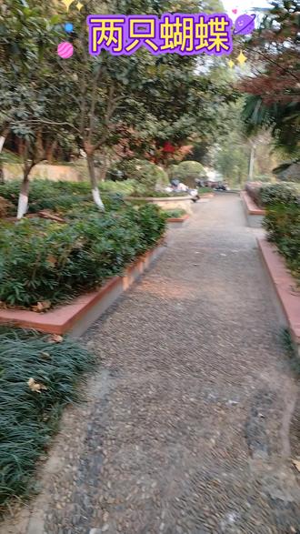 #小树林 里面的景山色。