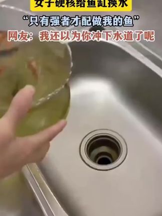 #养鱼