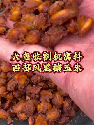 大鱼收割机窝料,西部风黑糖玉米