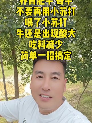#肉牛养殖 #繁殖母牛 #育肥牛 #养牛人 #农村养牛