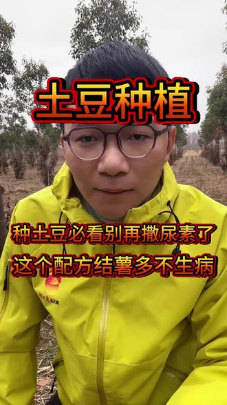 种土豆必看,别再撒尿素了,这个配方结的土豆多不生病 #土豆种植#土豆管理技术#种土豆#洋芋