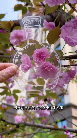 春暖花开的季节,带孩子一起去公园收集春天吧,制作美美的干花书签#亲子手工 #书签 #春天手工