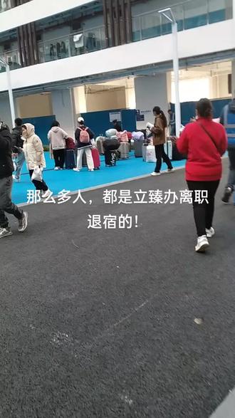 立臻办离职的今天又开始了