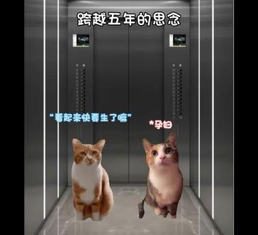 那一刻胎动,是跨越五年的思念#母爱#思念#爱没有终点#meme