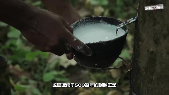 造物小百科 从橡胶树割胶到采收 ,橡胶乳液是怎么制成橡胶的? #橡胶 #割胶 #纪录片解说推荐 #拍出电影感 #猎奇